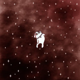 созвездие пса 