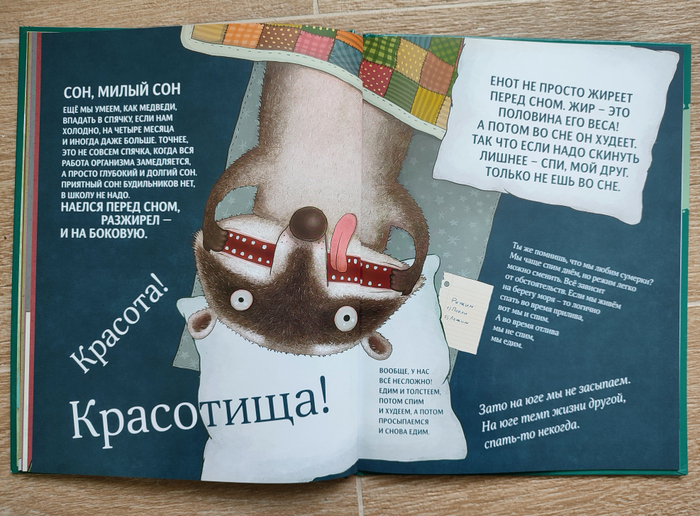 Чем хороши еноты