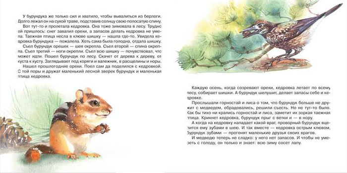 серия времена года:Лето