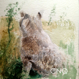 Мокрая собака