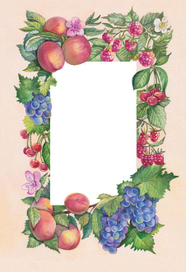 Иллюстрация для упаковки мыла, вертикальная