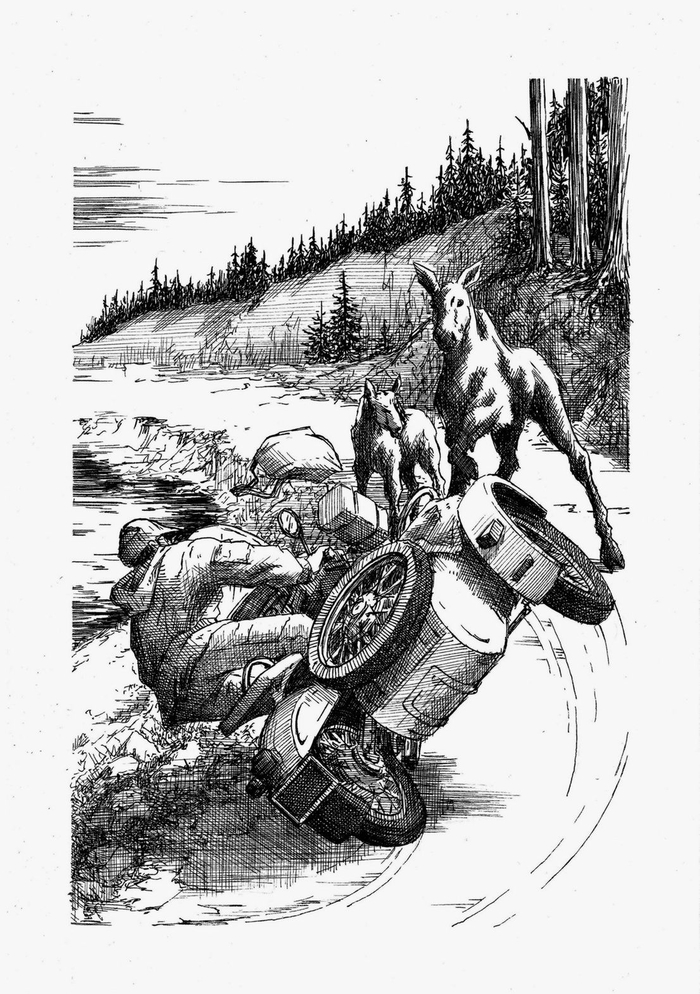 Возвращение росомахи. Илл.12