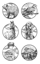 концовки для книжки про животных