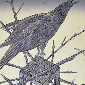 Скотный двор-2