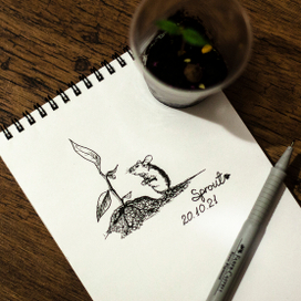 Мышь смотрит на росток