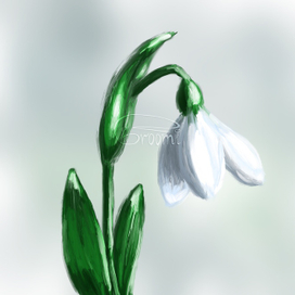 Подснежник