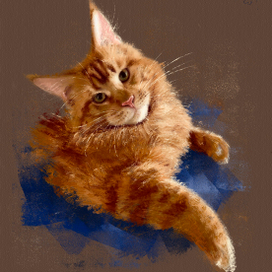 Мистер Пушистые Штаны