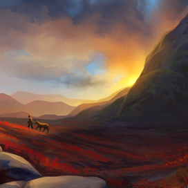 Закат на цветущем поле