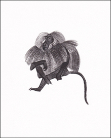 Джозеф Редьярд  Киплинг "Сказки слово в слово"