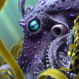 Осьминожка