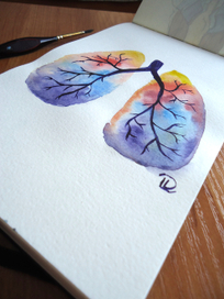 Наши легкие