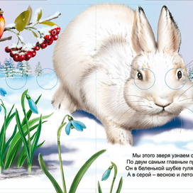 без названия