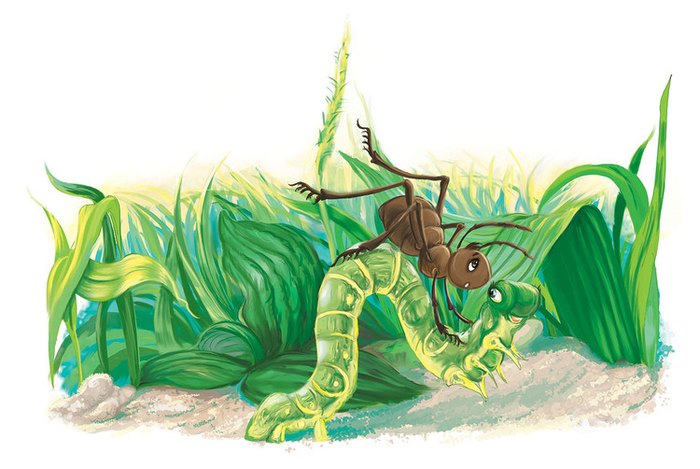 Иллюстрация