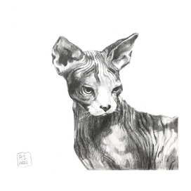 Миниатюра 🐈‍⬛