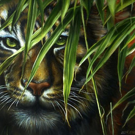 Картина, джунгли