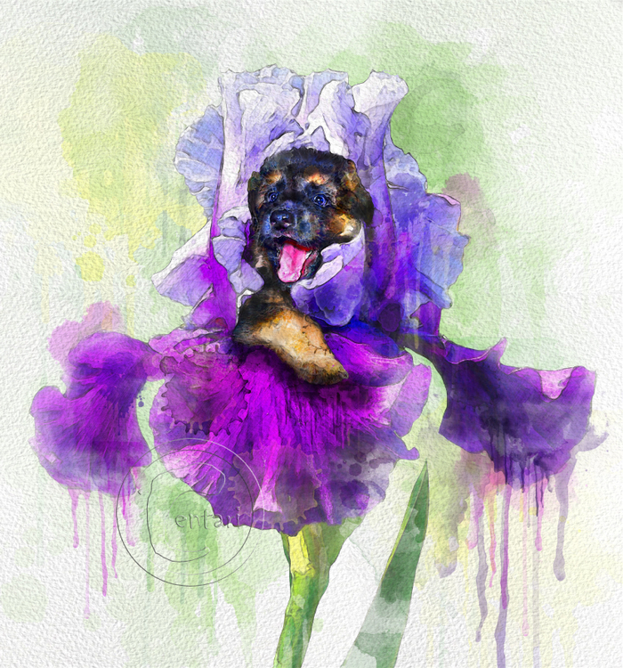 Дюймовочка