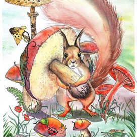 Белка запаслась