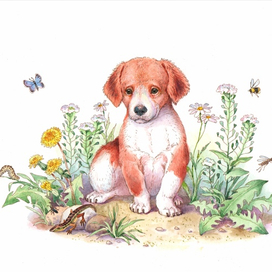 "Первая охота"