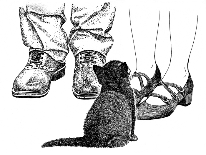 Иллюстрация к книге "Долгая дорога домой" издательства Феникс-Премьер