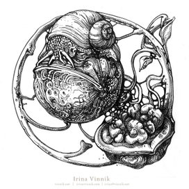 Ореховая улитка