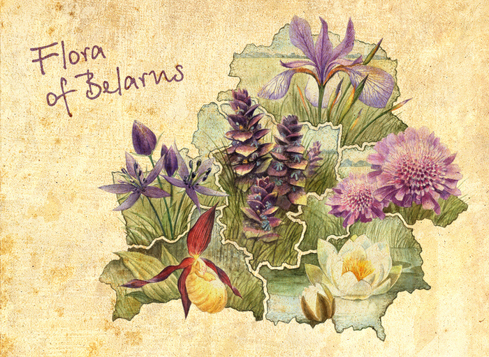 Flora of Belarus
