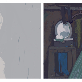 Лягушка-царевна (вариант).