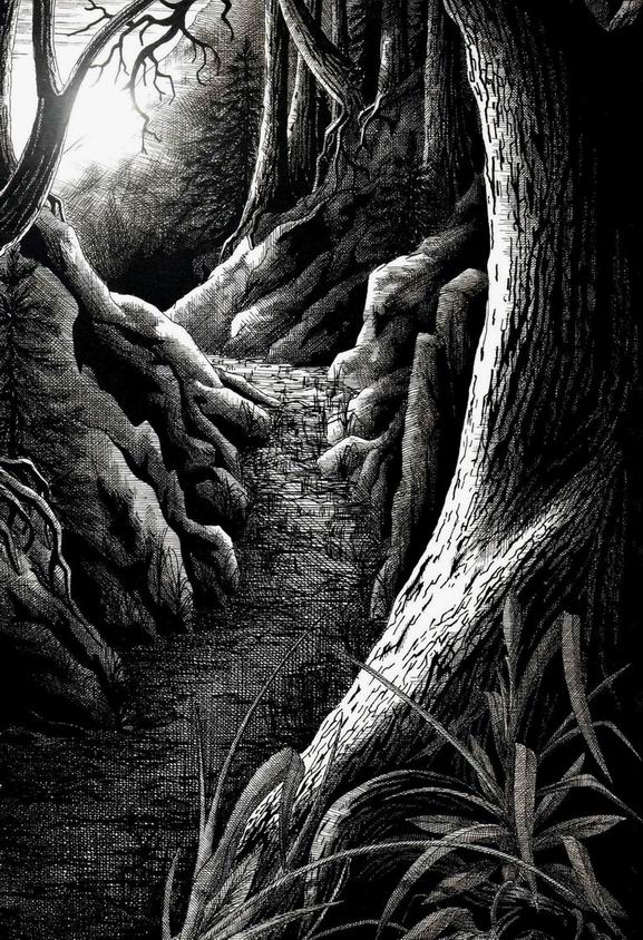 Лесная тропа