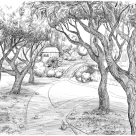 яблоневый сад