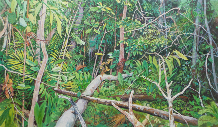 Сквозь лесные завалы