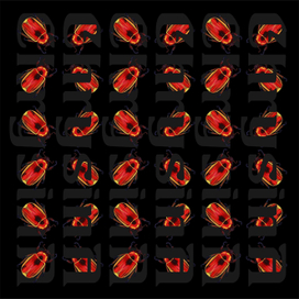 жуки на черном