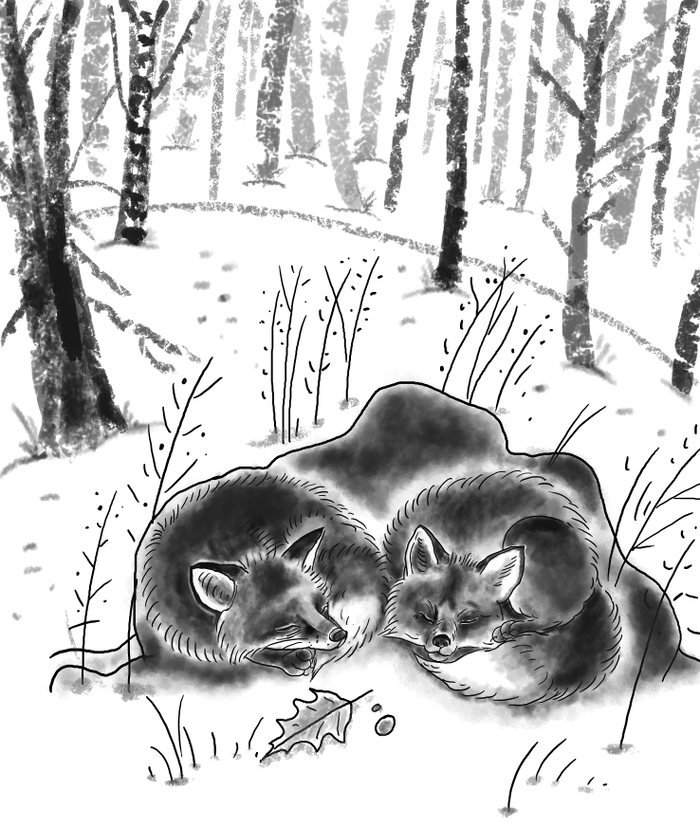 "Domino" Illustration