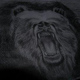 вытирайте ноги