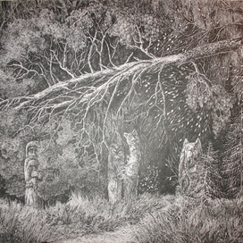 Таинственный лес