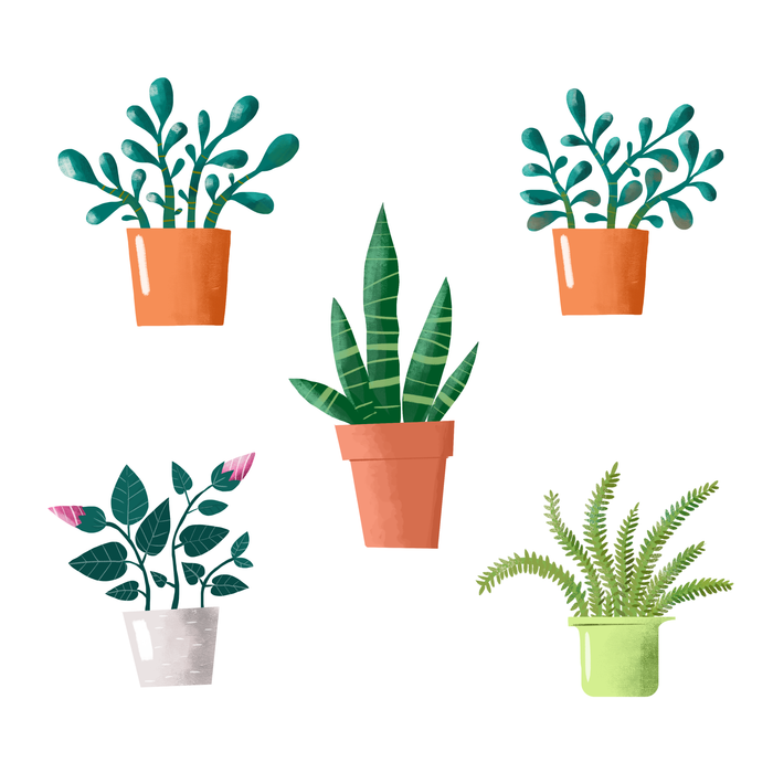 портреты моих цветов