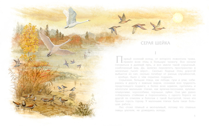 Серая Шейка. Птицы улетают