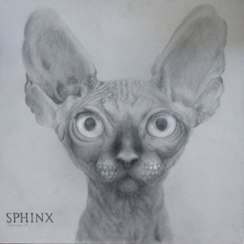 Sphinx