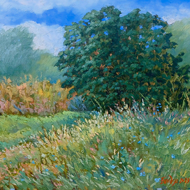 Солнечная полянка