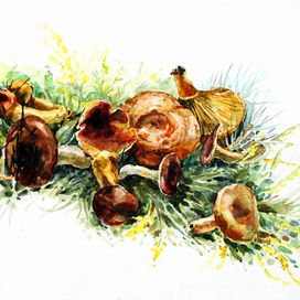 Лесные грибочки