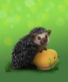 ежик на персике