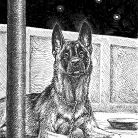 О свободе...