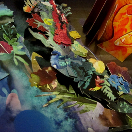 книга с объемными иллюстрациями 