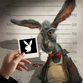 playboy rabbit