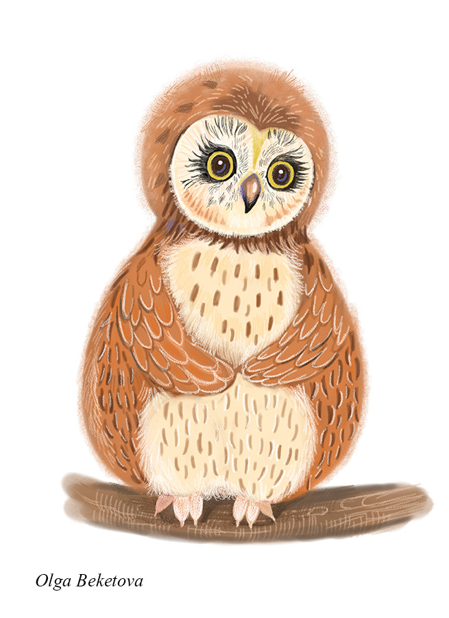Совушка-сова