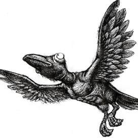 ...голупь MIRA...