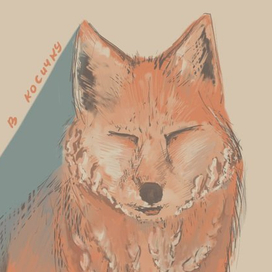 Лисичка в косичку