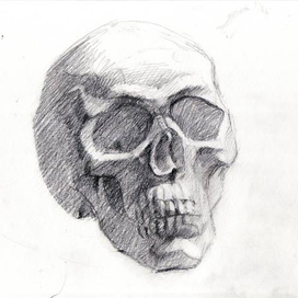 Светотеневой этюд черепа