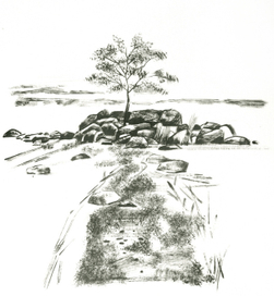 Северная тишина