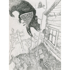 Черный медведь