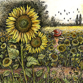 Солнечное поле