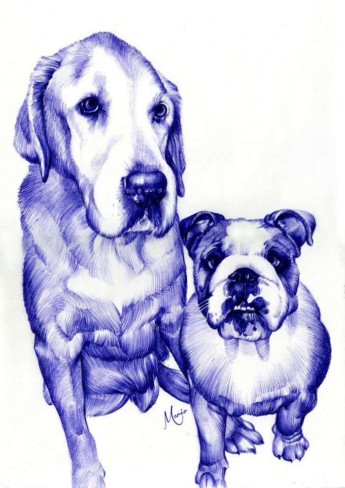 Герои Сервантеса